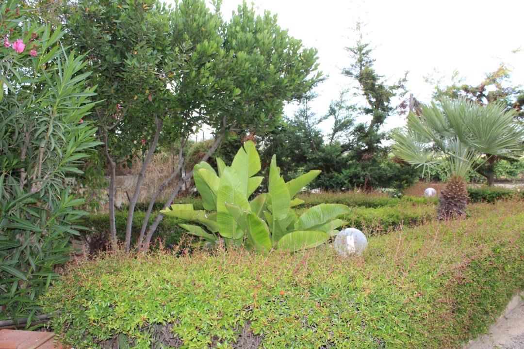 Photo of Others in Sciacca
