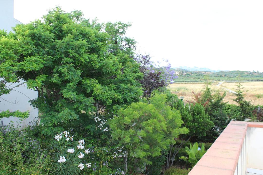 Photo of Others in Sciacca