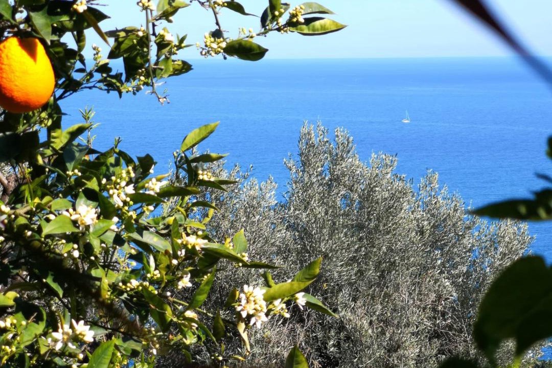 Photo of Outdoor in Acireale