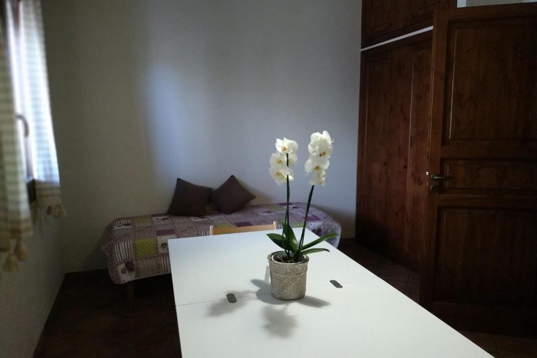 Photo of Others in Castelluzzo