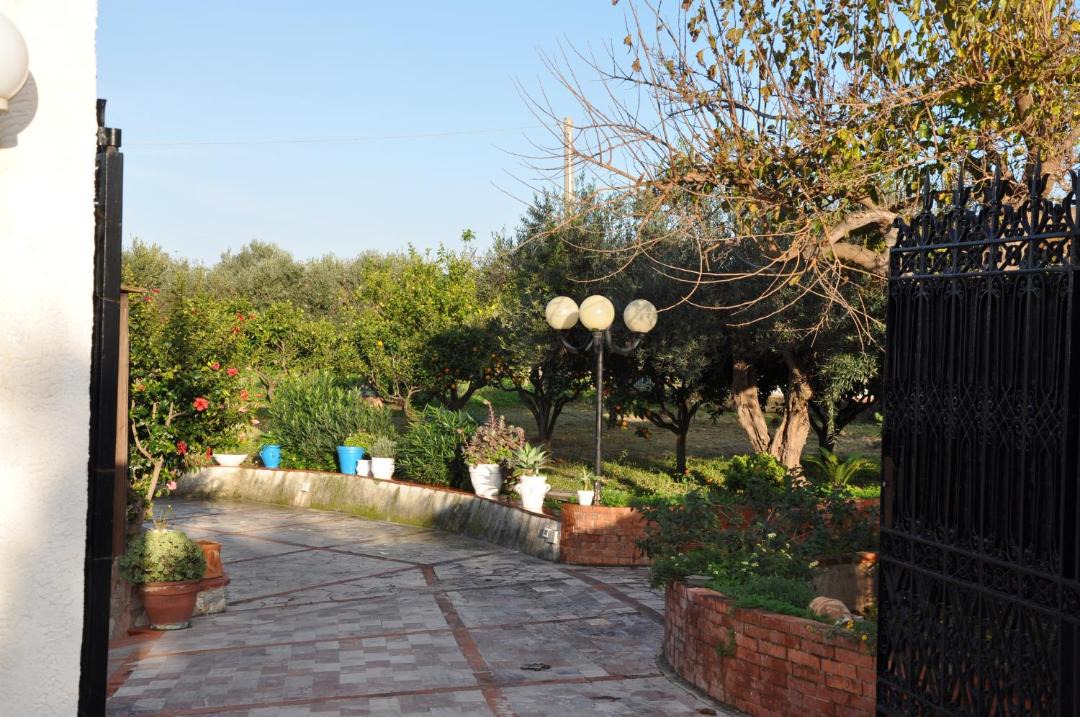 Photo of Others in Castellammare del Golfo