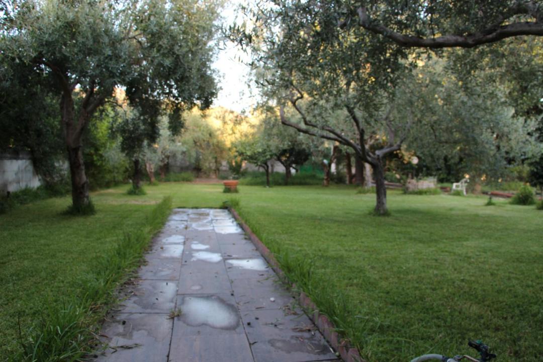 Photo of Others in Mitogio