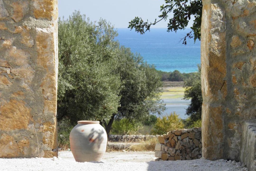Photo of Others in Noto