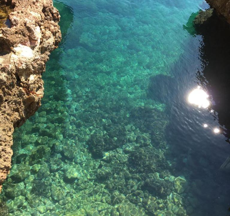 Photo of Others in Citta del Mare