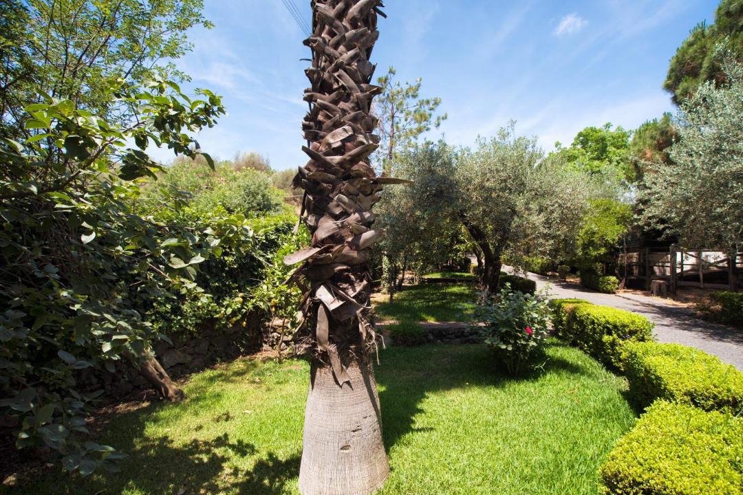 Photo of Outdoor in San Pietro Clarenza