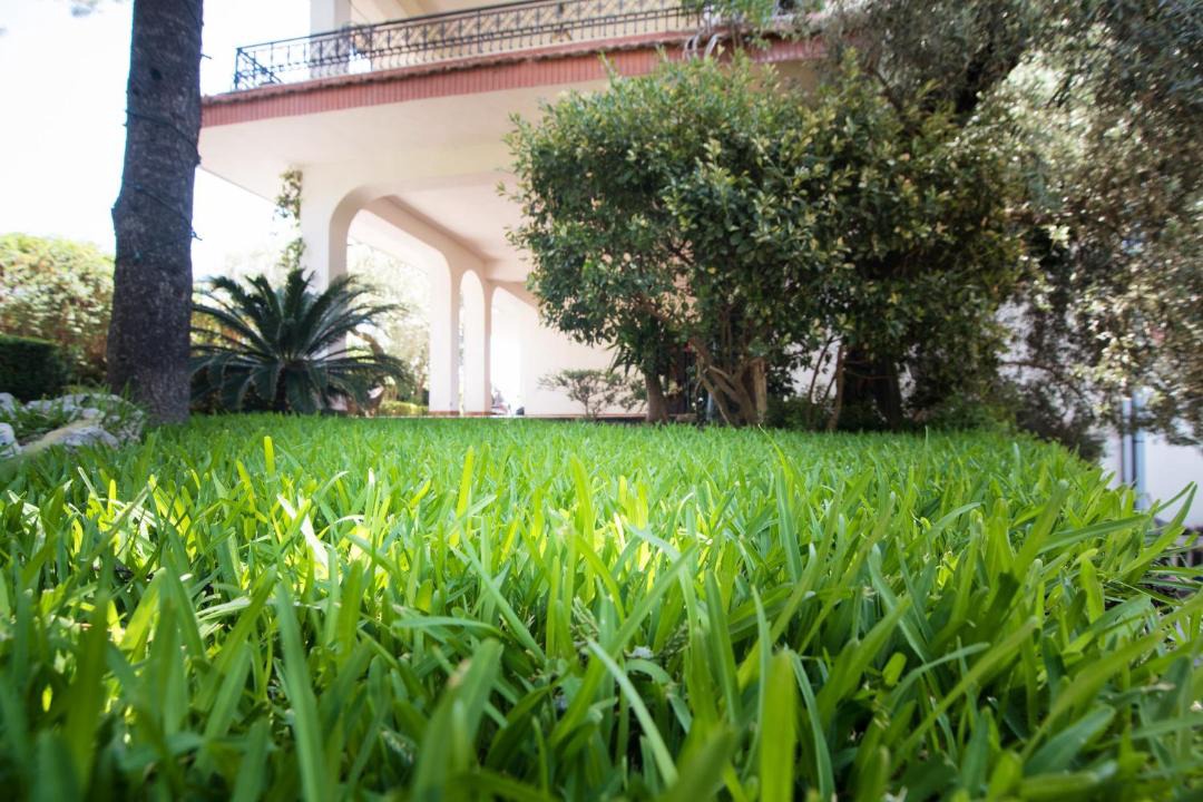 Photo of Others in San Pietro Clarenza