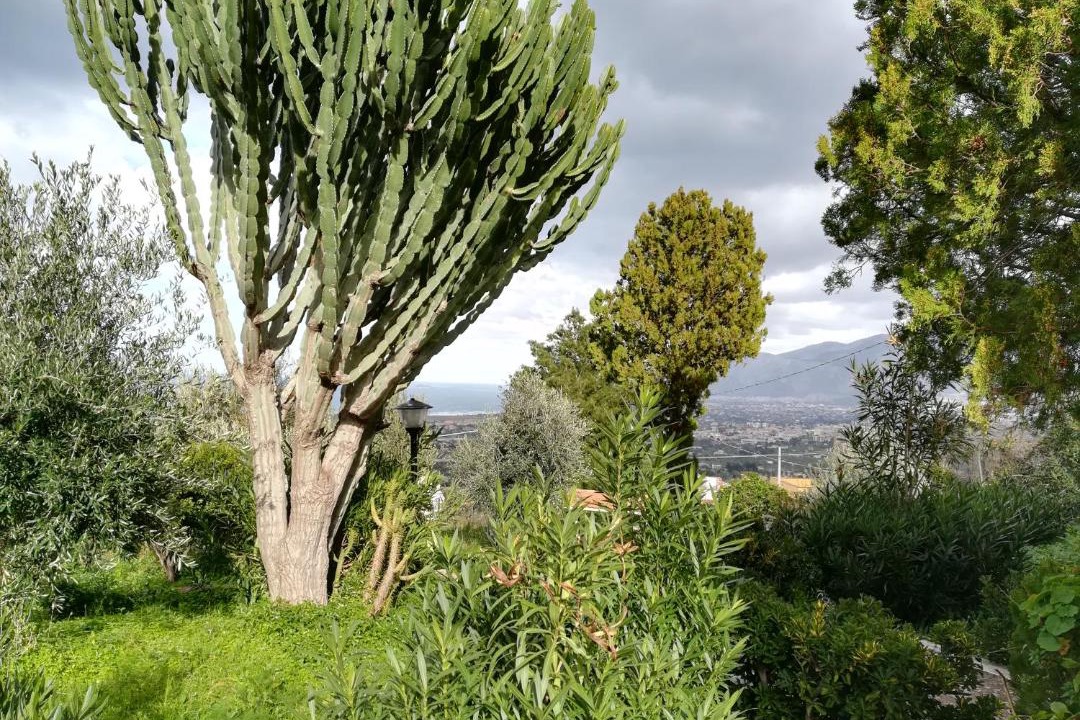 Photo of Outdoor in Carini