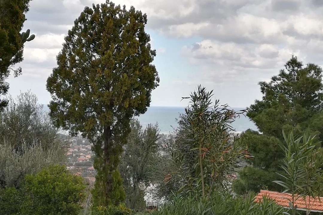 Photo of Outdoor in Carini