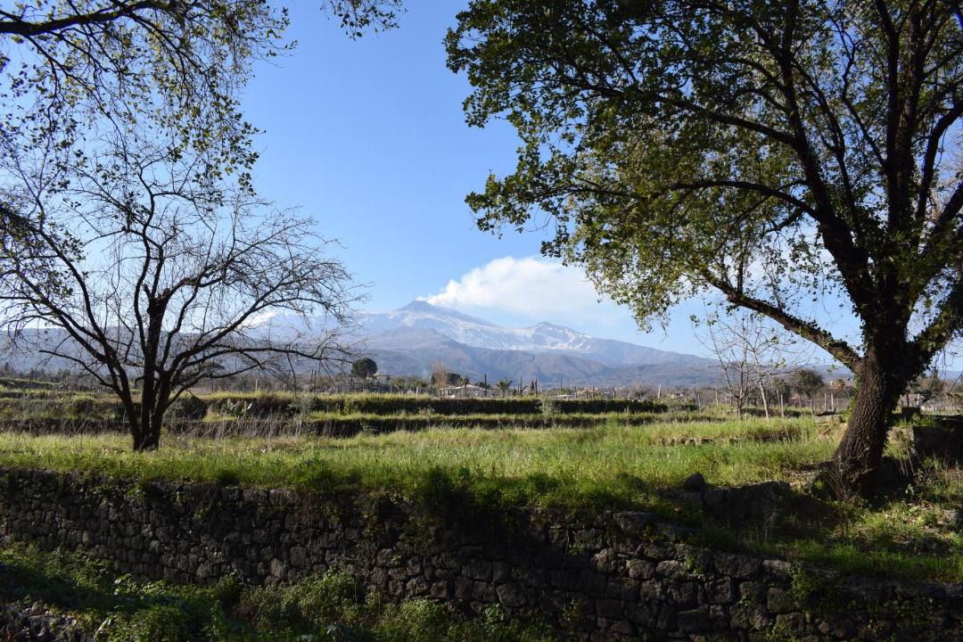 Photo of Others in Linera