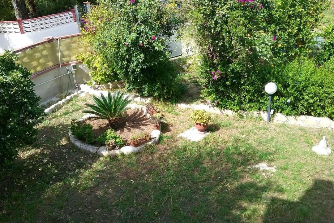 Photo of Others in Gallina