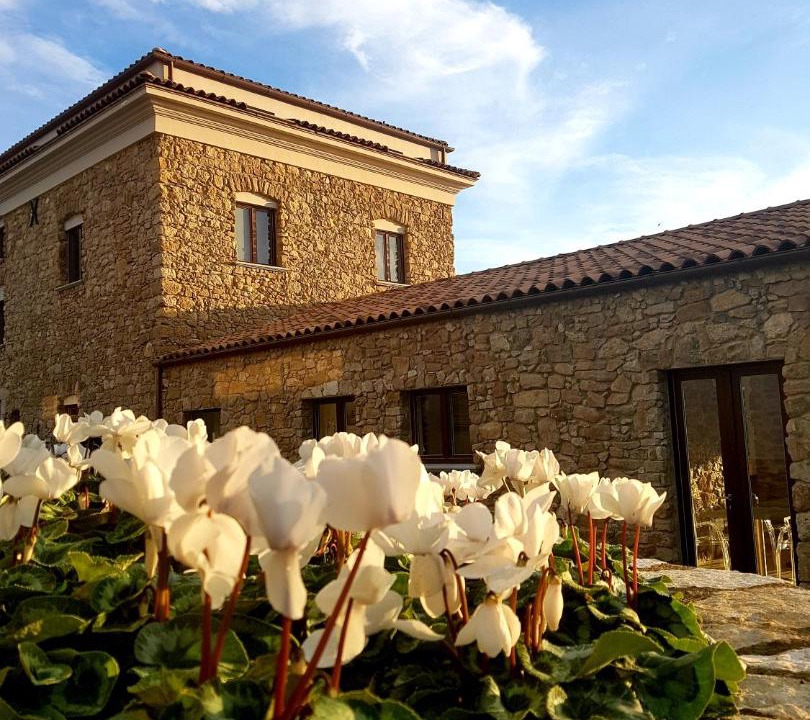 Photo of Others in Caltanissetta