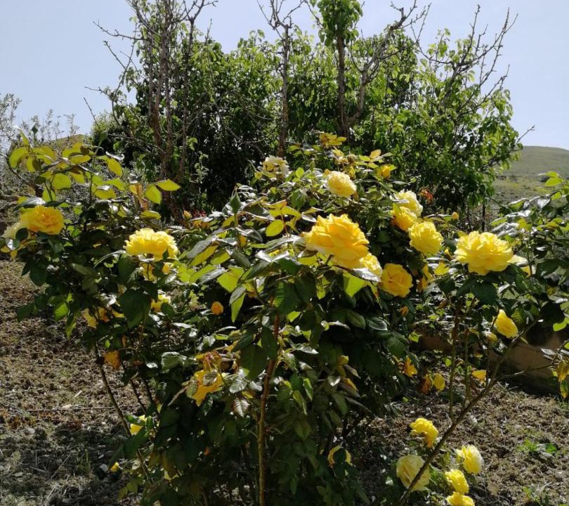 Photo of Outdoor in Castellammare del Golfo