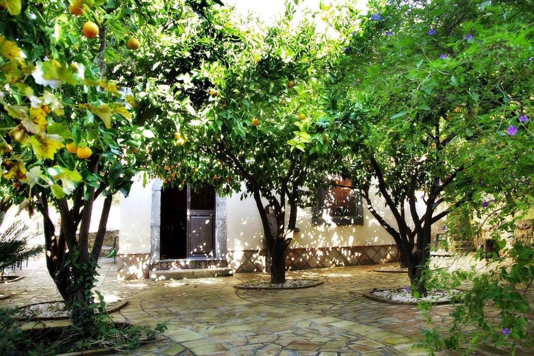 Photo of Buildings in Mitogio