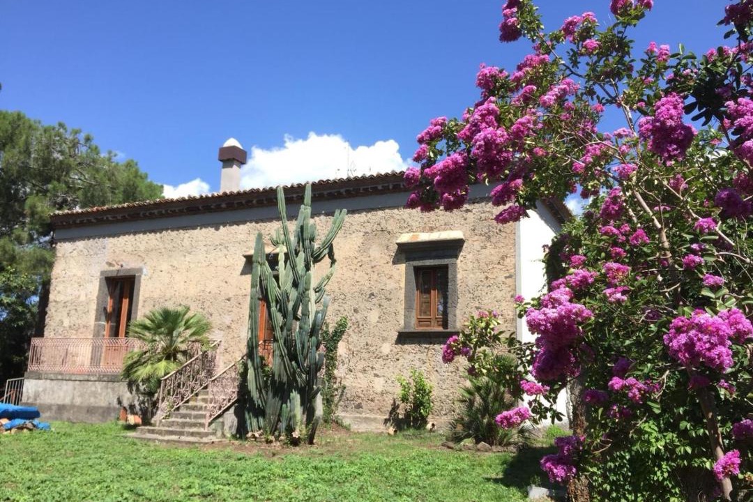 Photo of Others in Rovittello