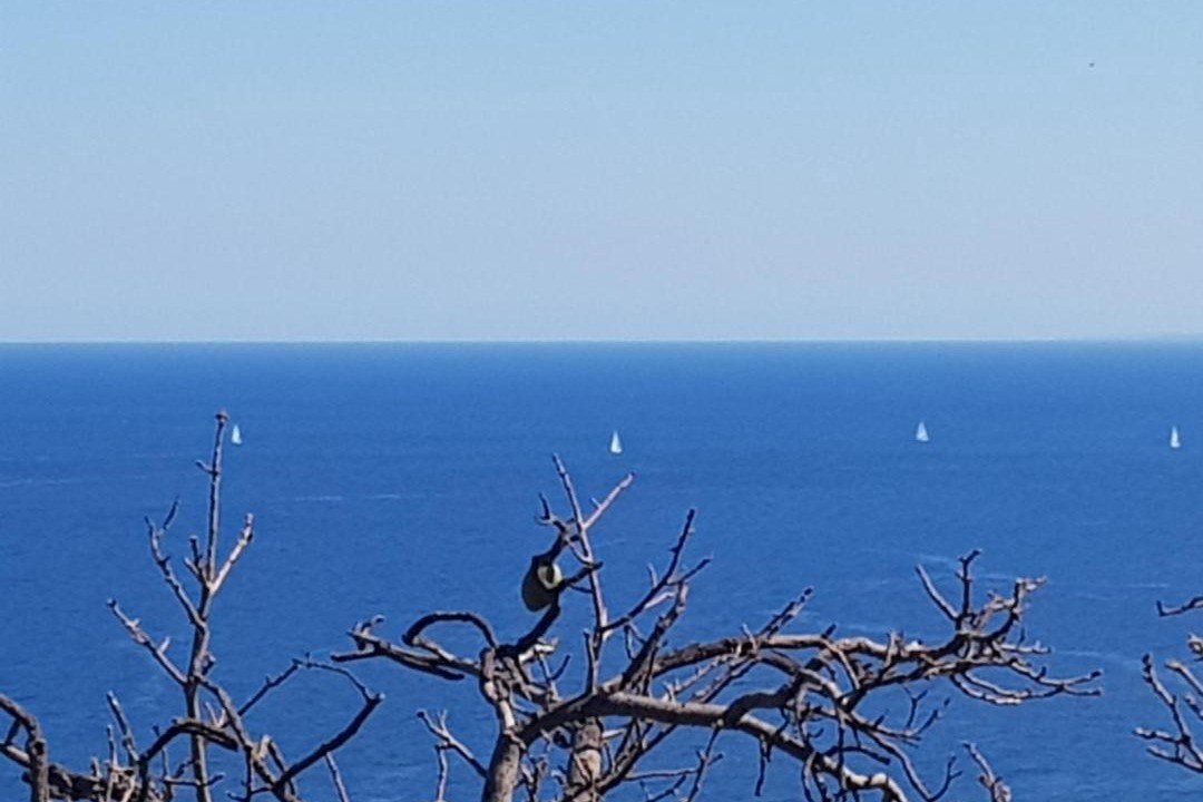 Photo of Others in Acireale