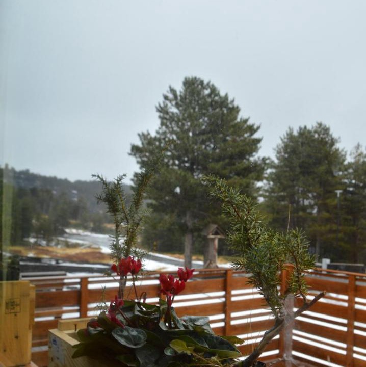 Photo of Patio Balcony in Linguaglossa