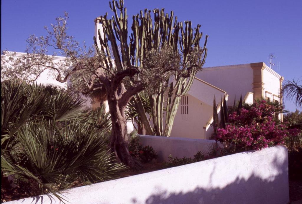 Photo of Others in Marsala