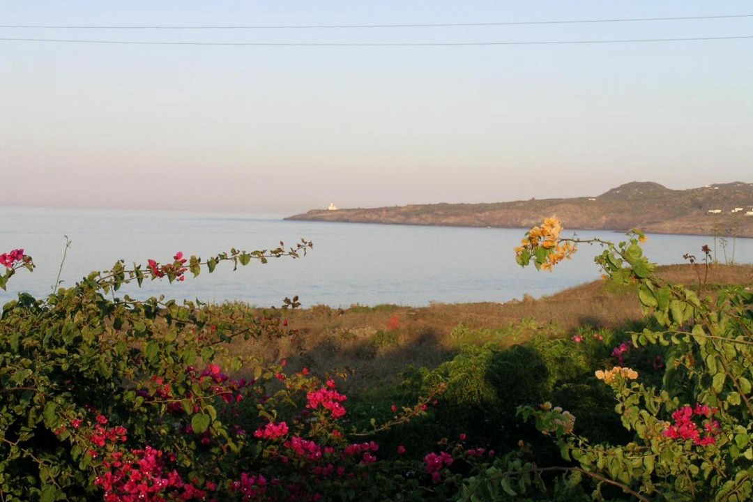 Photo of Outdoor in Pantelleria