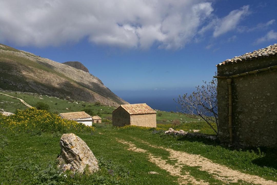 Photo of Others in Trapani