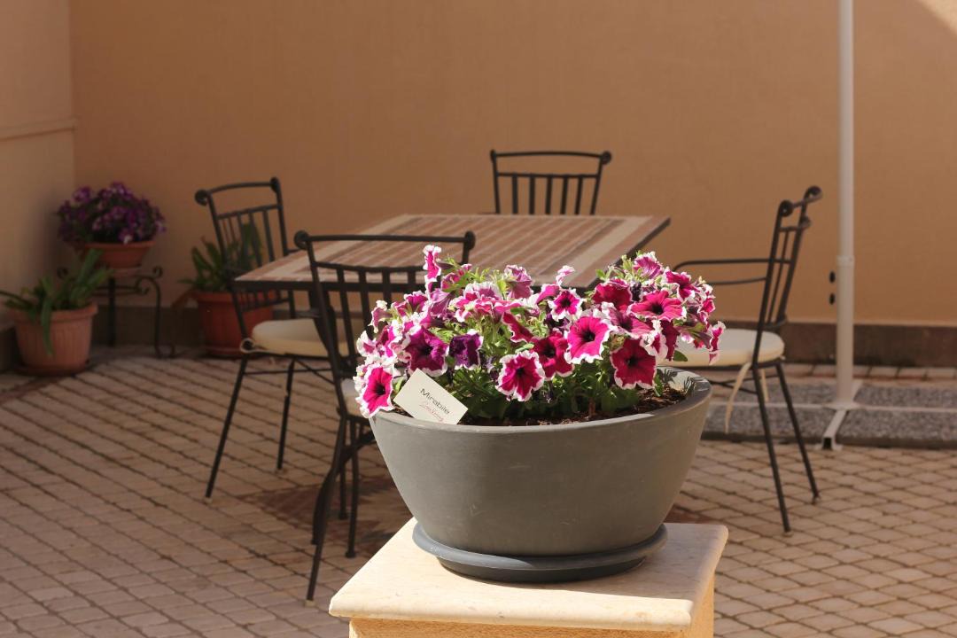 Photo of Patio Balcony in San Leonardo