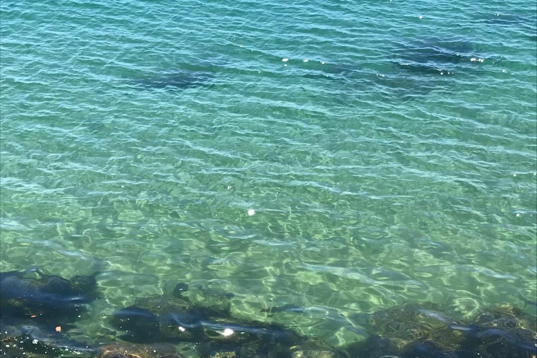 Photo of Outdoor in Marinella di Selinunte
