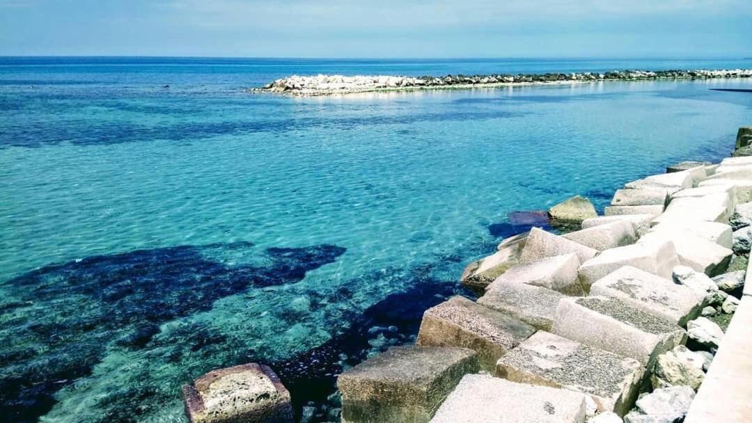 Photo of Others in Trapani