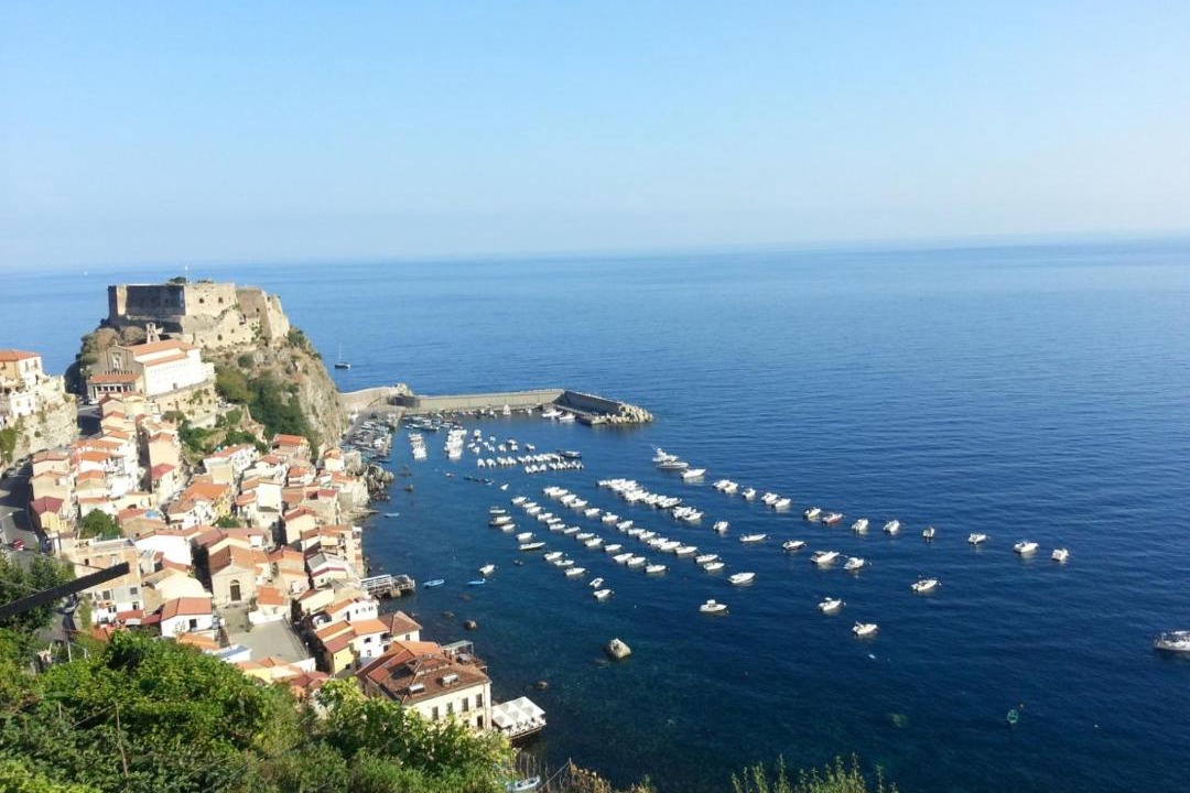 Photo of Others in Scilla