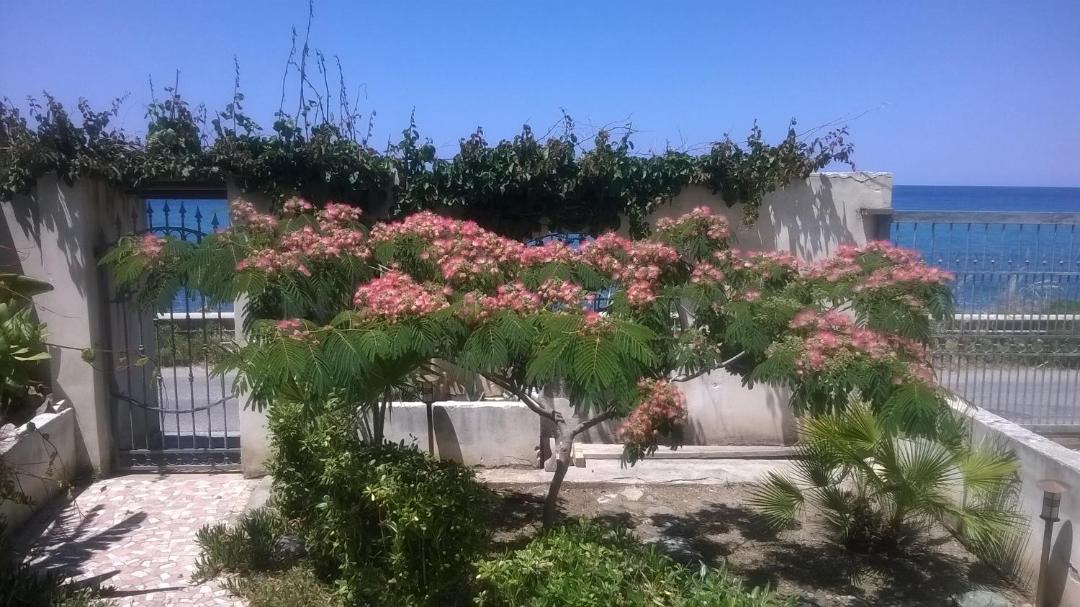 Photo of Others in Province of Messina