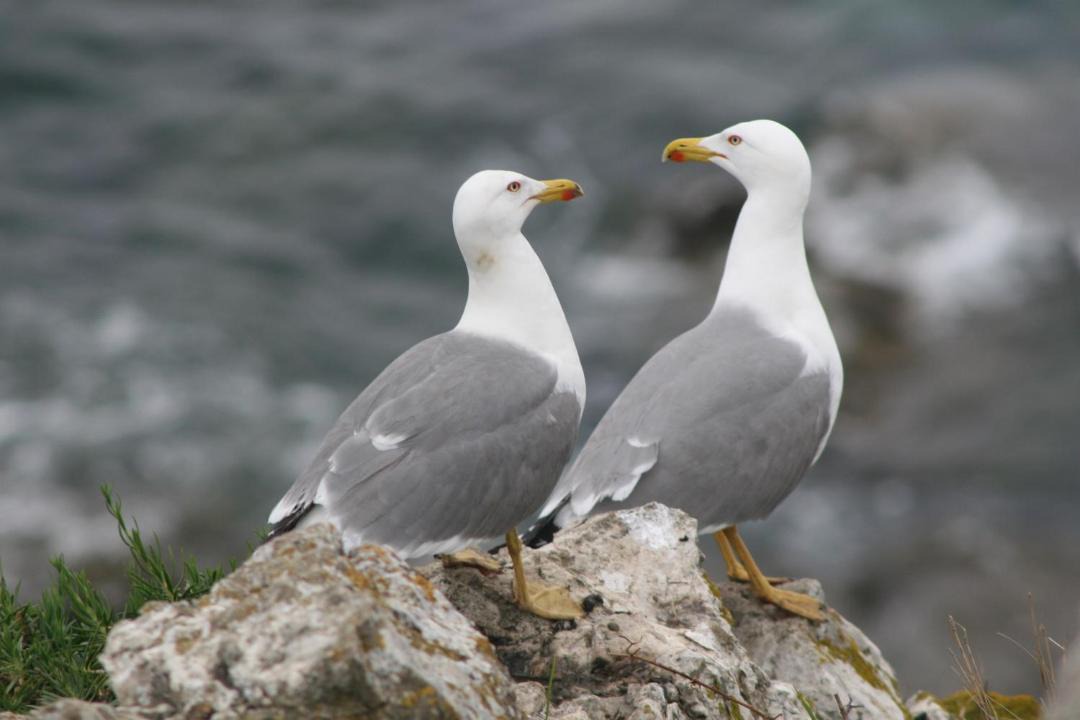 Photo of Others in Milazzo