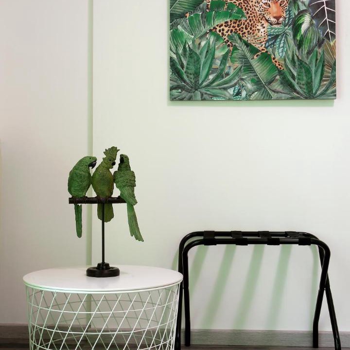 Photo of Livingroom in Picanello-Ognina-Barriera-Canalicchio