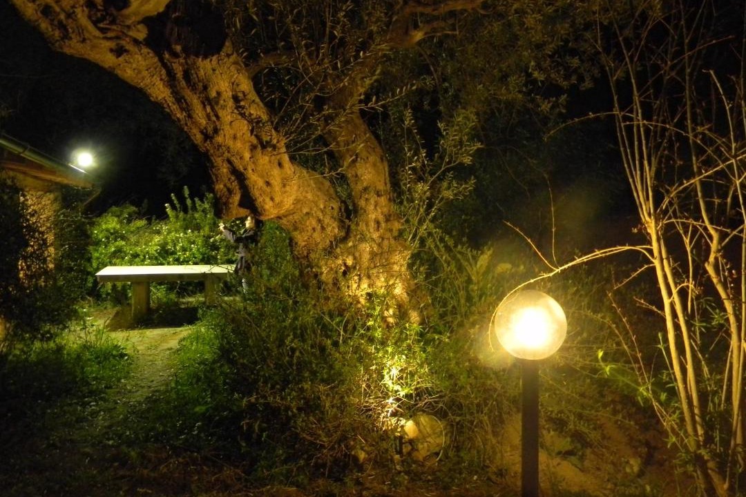 Photo of Others in Mineo