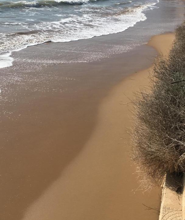 Photo of Outdoor in Caucana-finaiti-casuzze-finaiti Nord