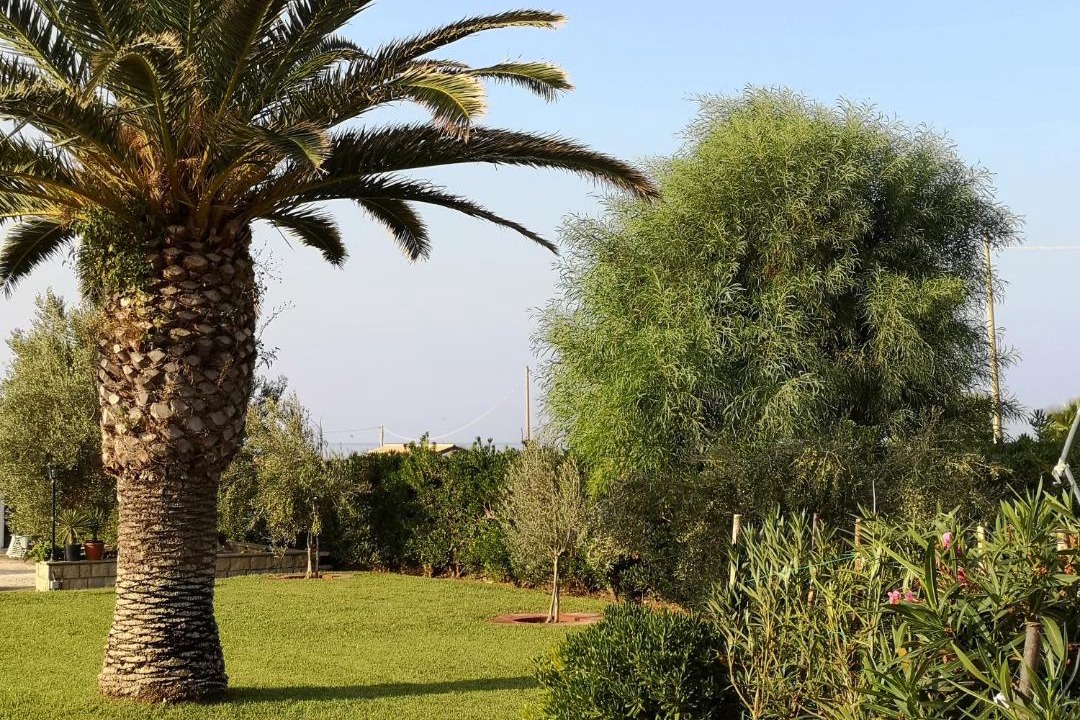 Photo of Others in Zona Portuale