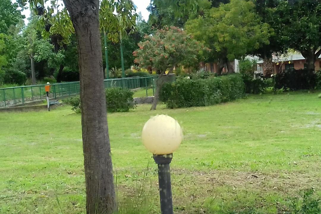 Photo of Others in Pollina