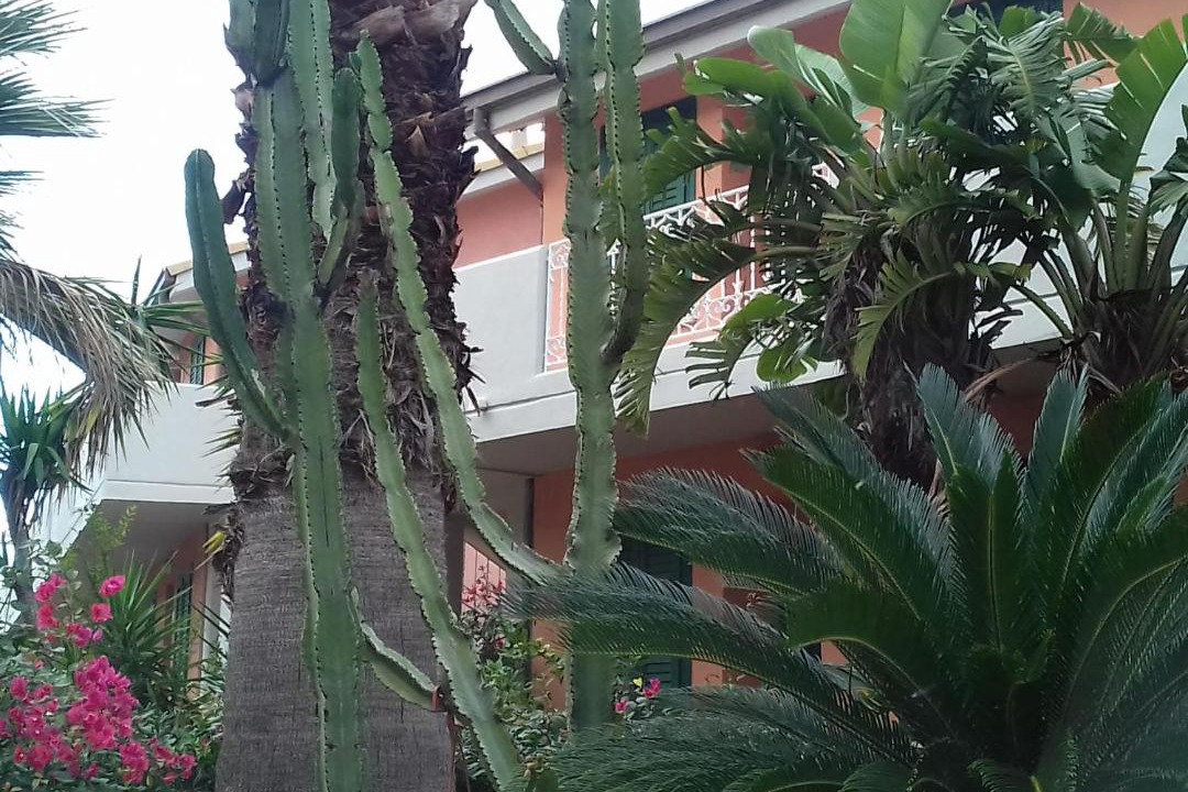 Photo of Others in Pollina
