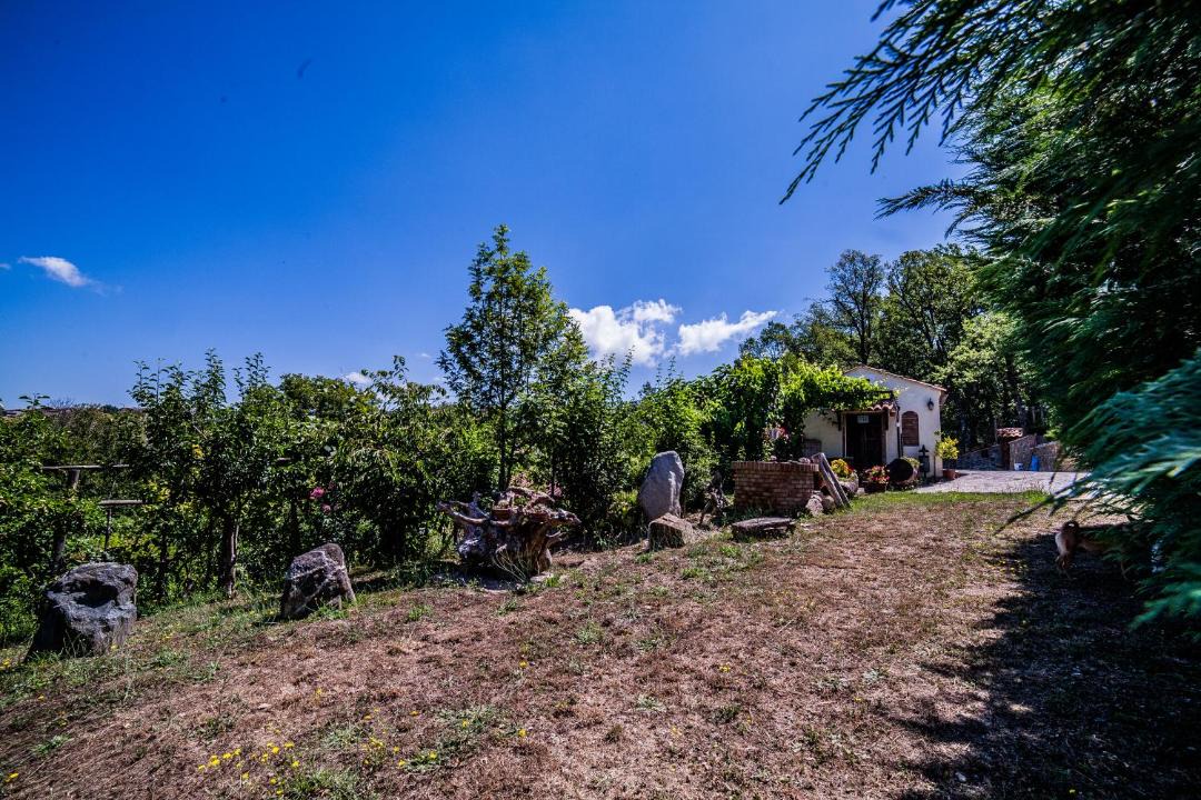 Photo of Others in Rogliano