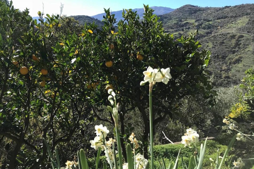 Photo of Outdoor in Pollina