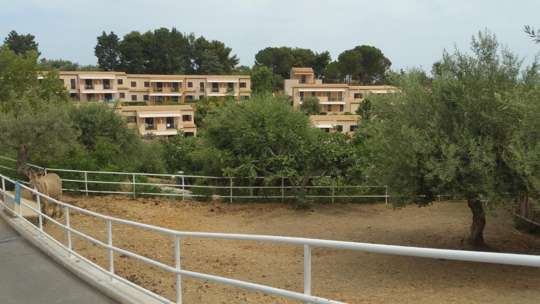 Photo of Buildings in Mazzaforno