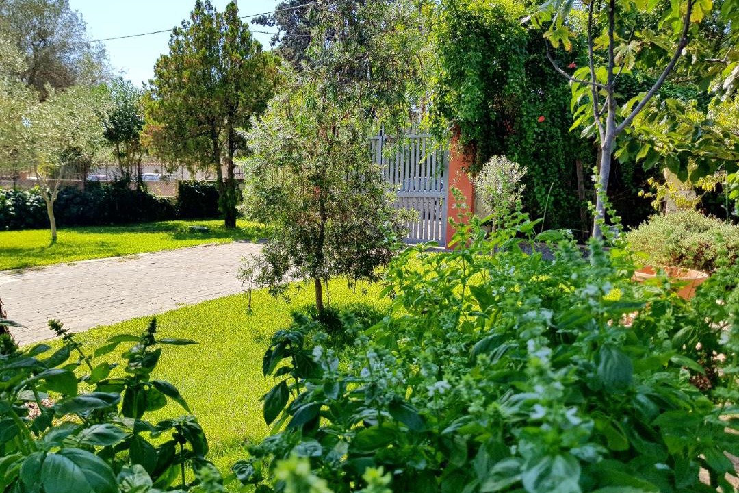 Photo of Outdoor in Pedara