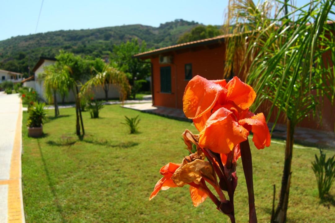 Photo of Others in Marina di Zambrone