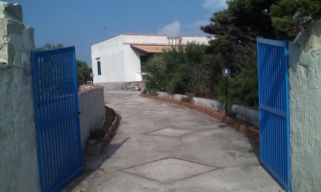 Photo of Others in Favignana