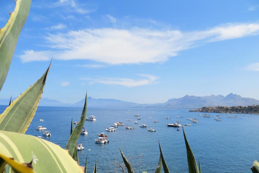 Photo of Outdoor in Palermo