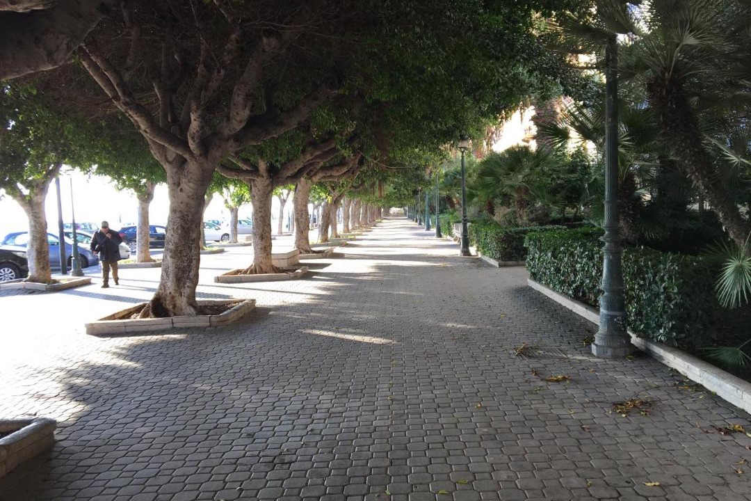 Photo of Others in Trapani City Centre