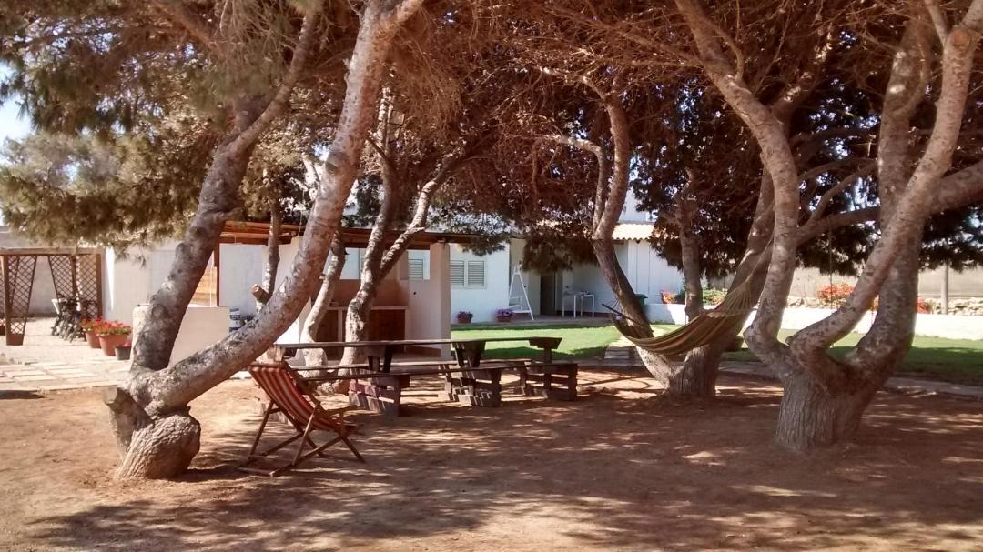 Photo of Others in Lampedusa