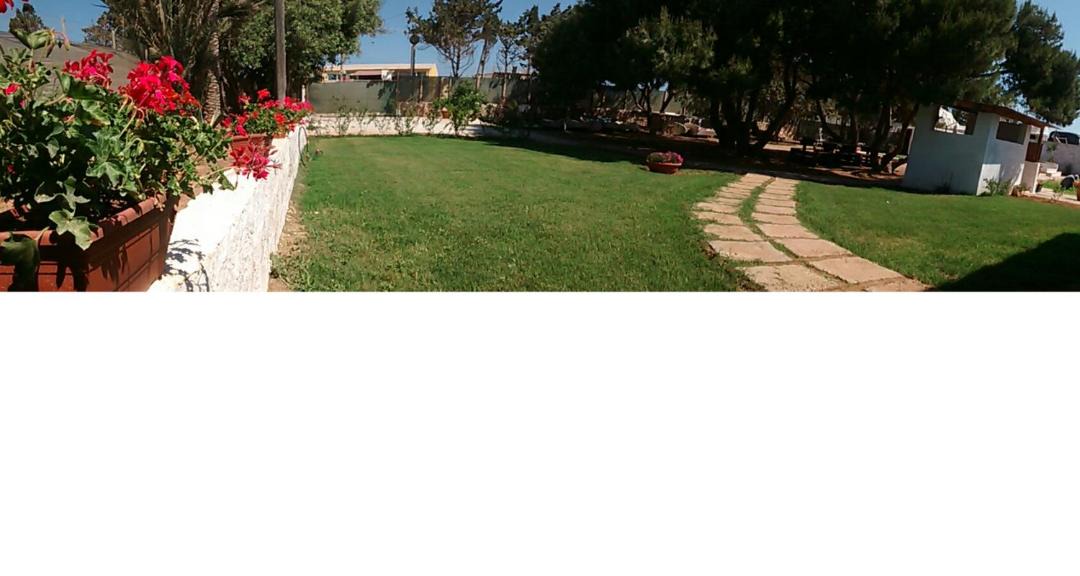 Photo of Others in Lampedusa