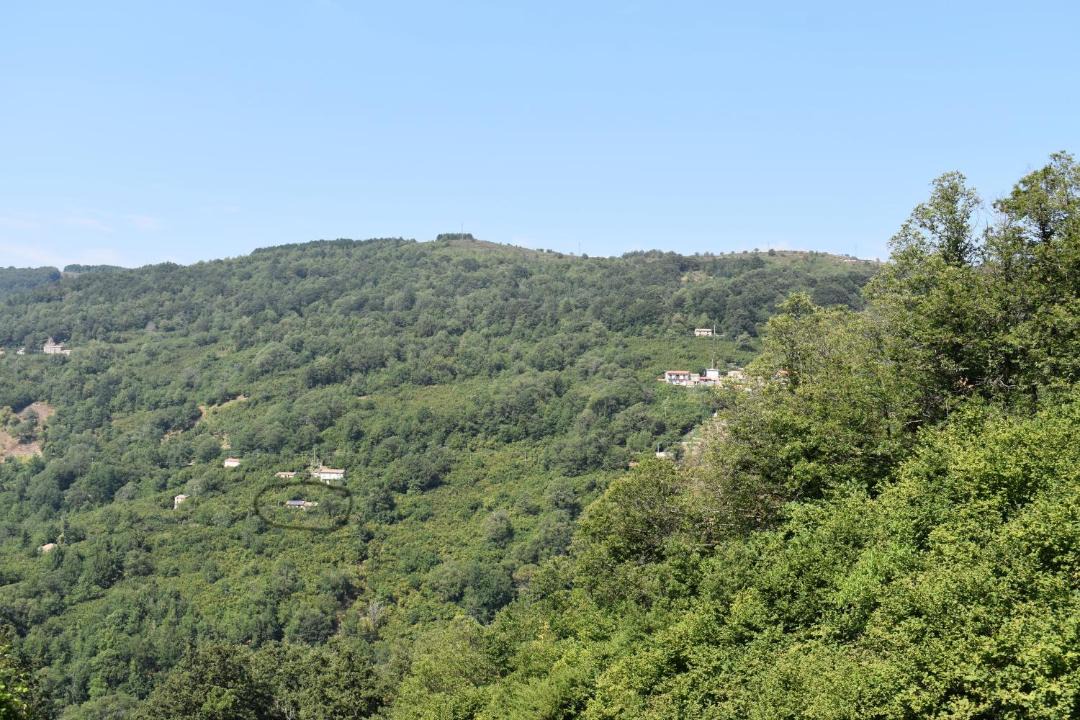 Photo of Outdoor in Tortorici