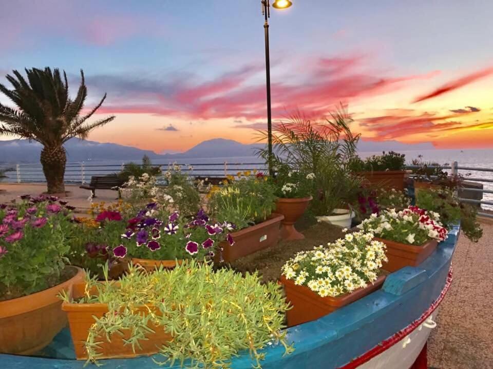 Photo of Outdoor in Trappeto