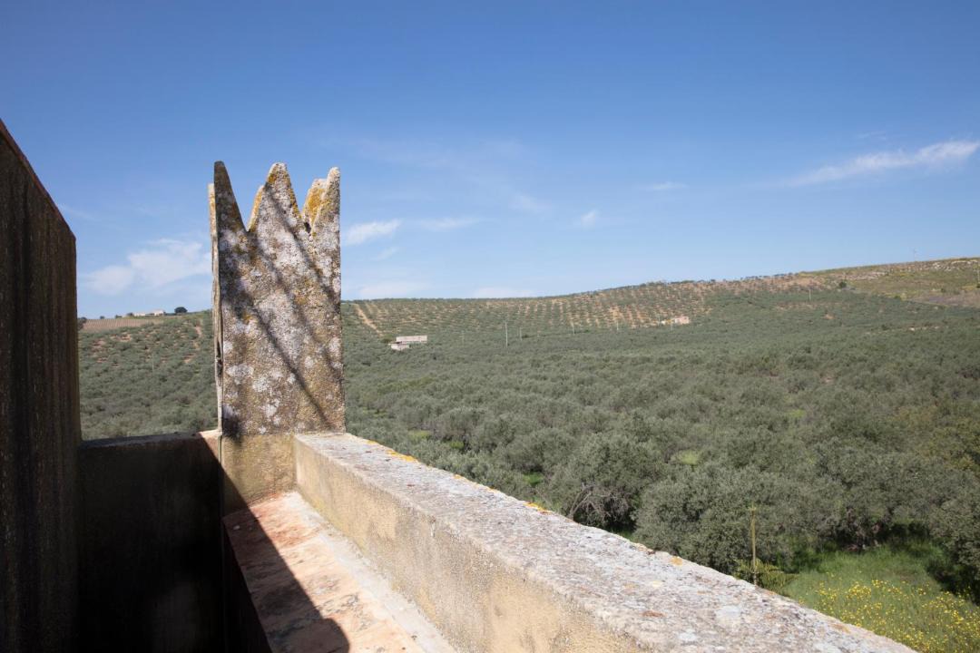 Photo of Others in Castelvetrano
