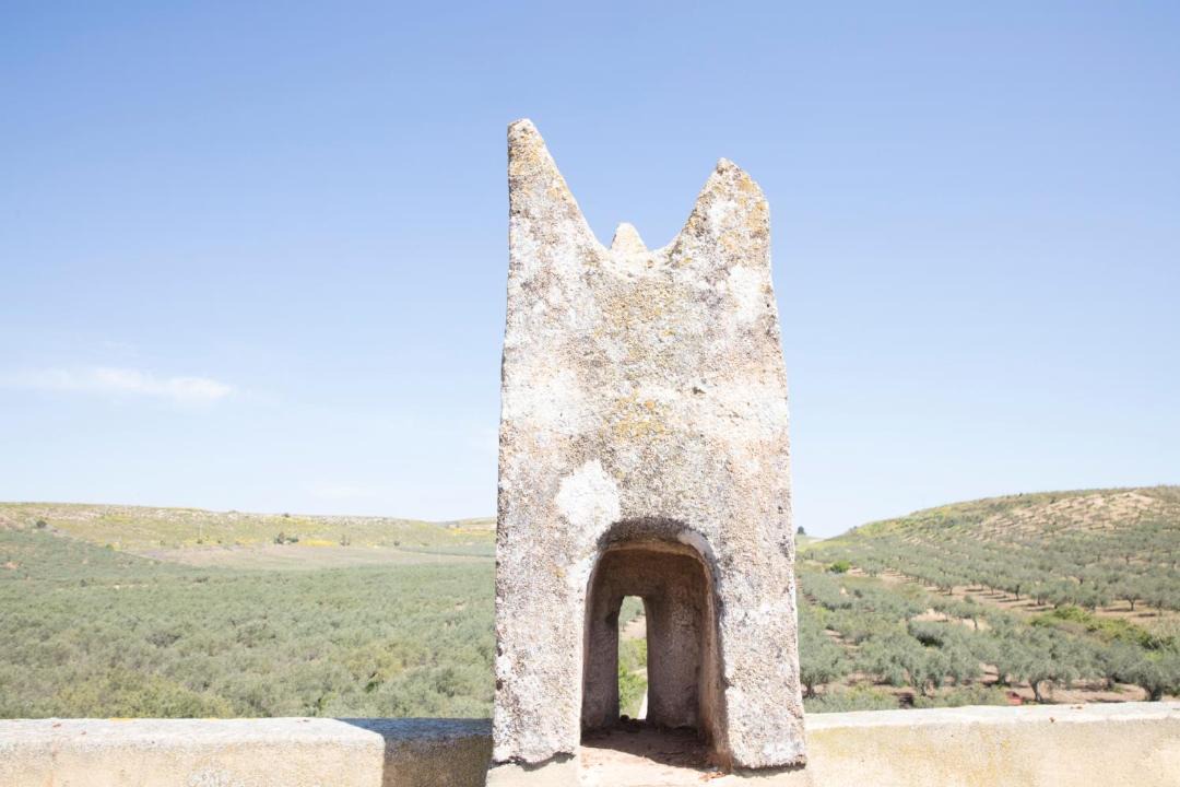 Photo of Others in Castelvetrano