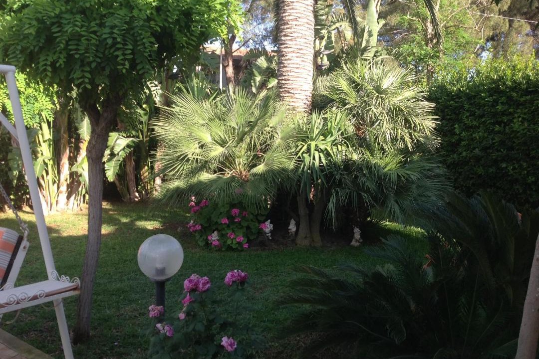 Photo of Others in Arenella